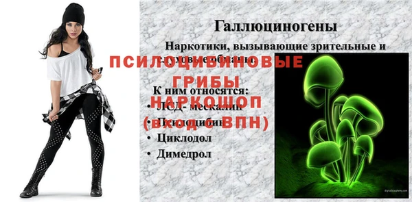 MDMA Ельня
