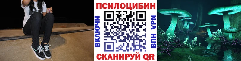 Купить где  Калач-на-Дону  Псилоцибиновые грибы MAGIC MUSHROOMS 